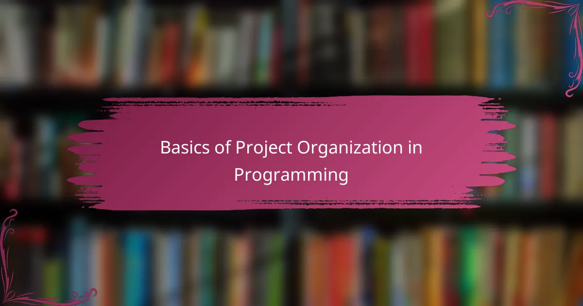 Basics of Project Organization in Programming